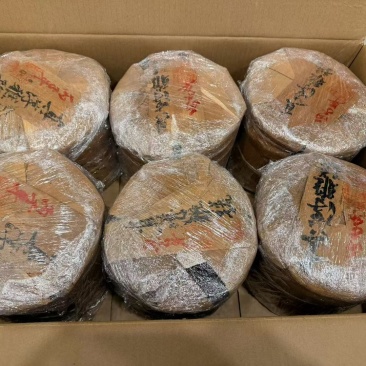 易武真淳雅，乔木新宋聘。喜欢直接问，所见即所得。