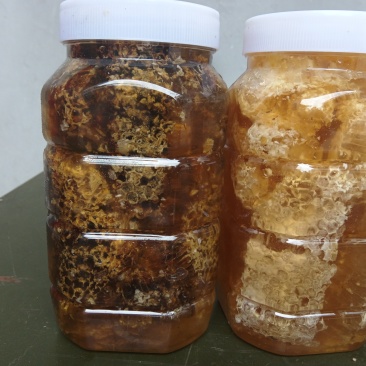 原始森林大山深处，蜂蜜号称百花蜜。