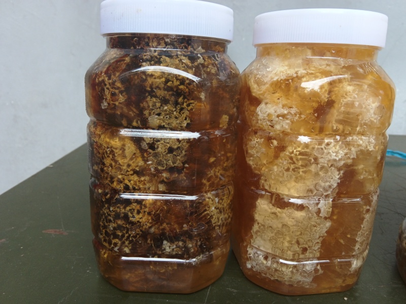 原始森林大山深处，蜂蜜号称百花蜜。