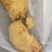 鸡宝