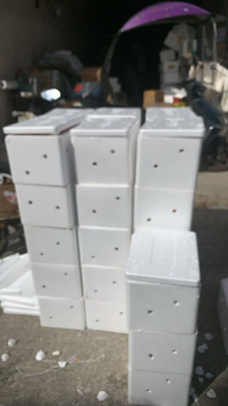 桂林沙糖桔沃柑