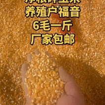 养殖专用碎玉米，无土，无沙，无霉变。0.6元一斤，500斤起
