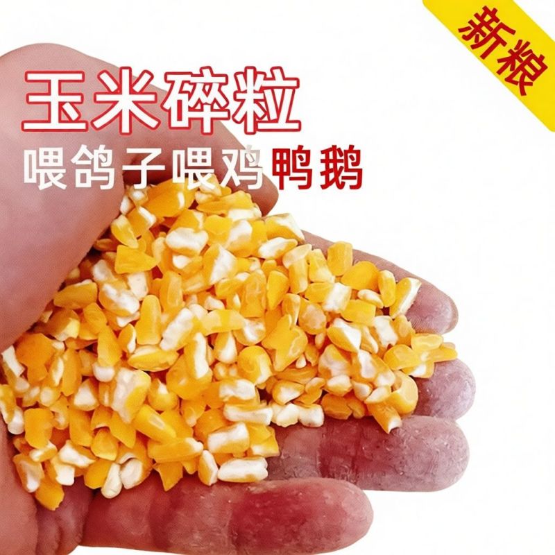 玉米粒碎喂鸡喂鸭喂鹅鸟禽饲料精品原粮谷物家用饲养养殖通用