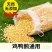 玉米粒碎喂鸡喂鸭喂鹅鸟禽饲料精品原粮谷物家用饲养养殖通用
