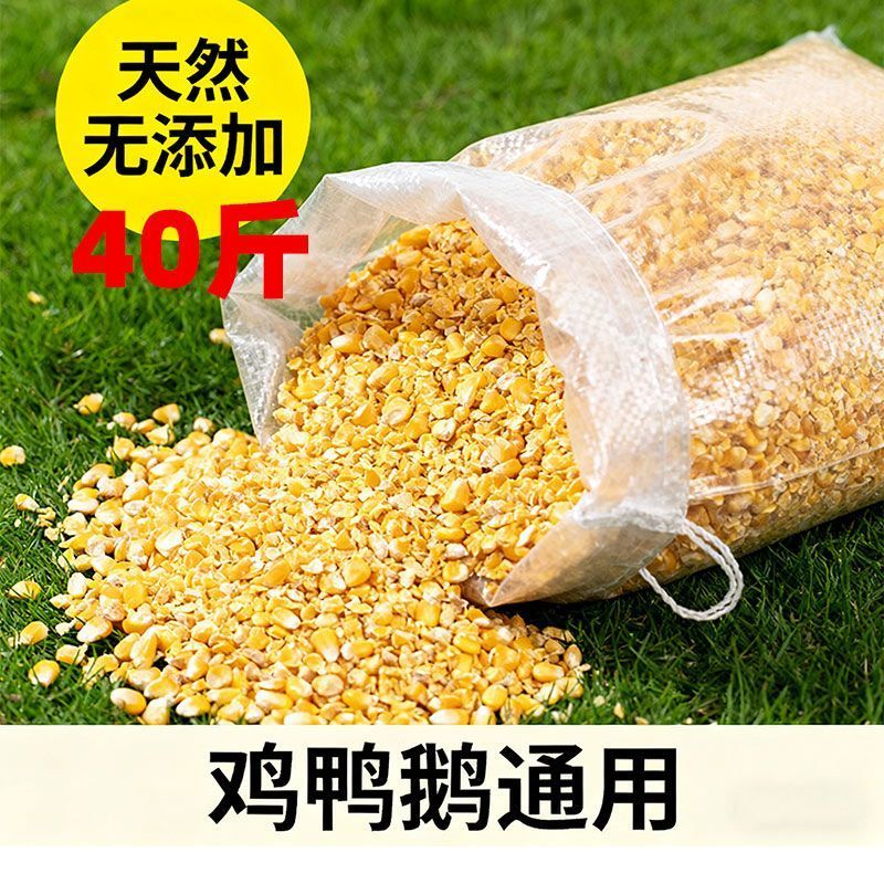 玉米粒碎喂鸡喂鸭喂鹅鸟禽饲料精品原粮谷物家用饲养养殖通用