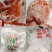 陕西富平柿饼