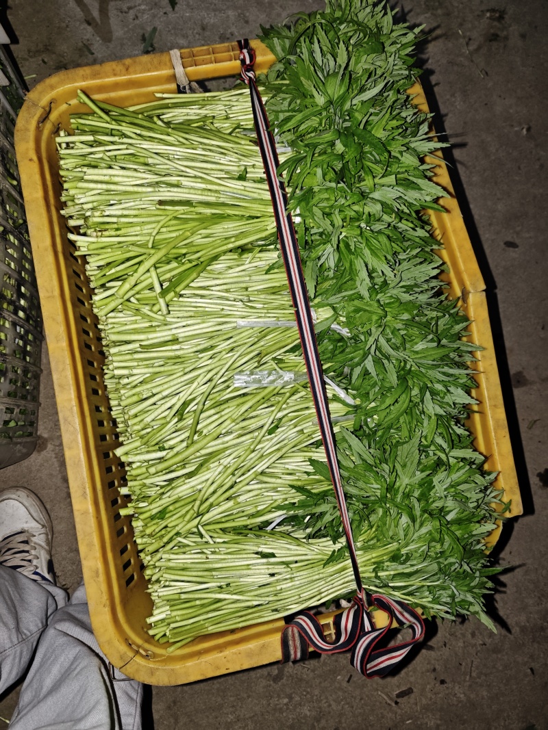 阳新芦蒿