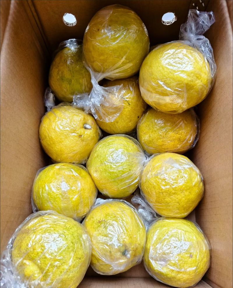 黄金贡柚，脆甜多汁，纯甜无酸！分精品果和普通果