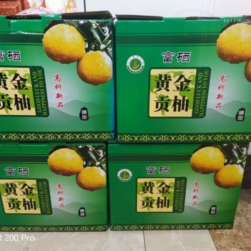 黄金贡柚，脆甜多汁，纯甜无酸！分精品果和普通果