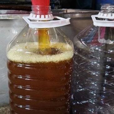 茶籽油
