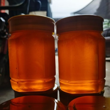 广西大山野蜂蜜