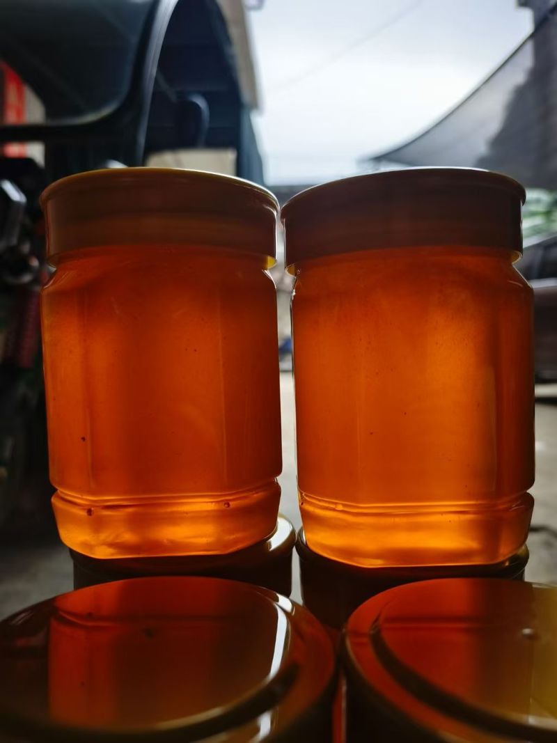 广西大山野蜂蜜