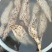 野生葛根粉