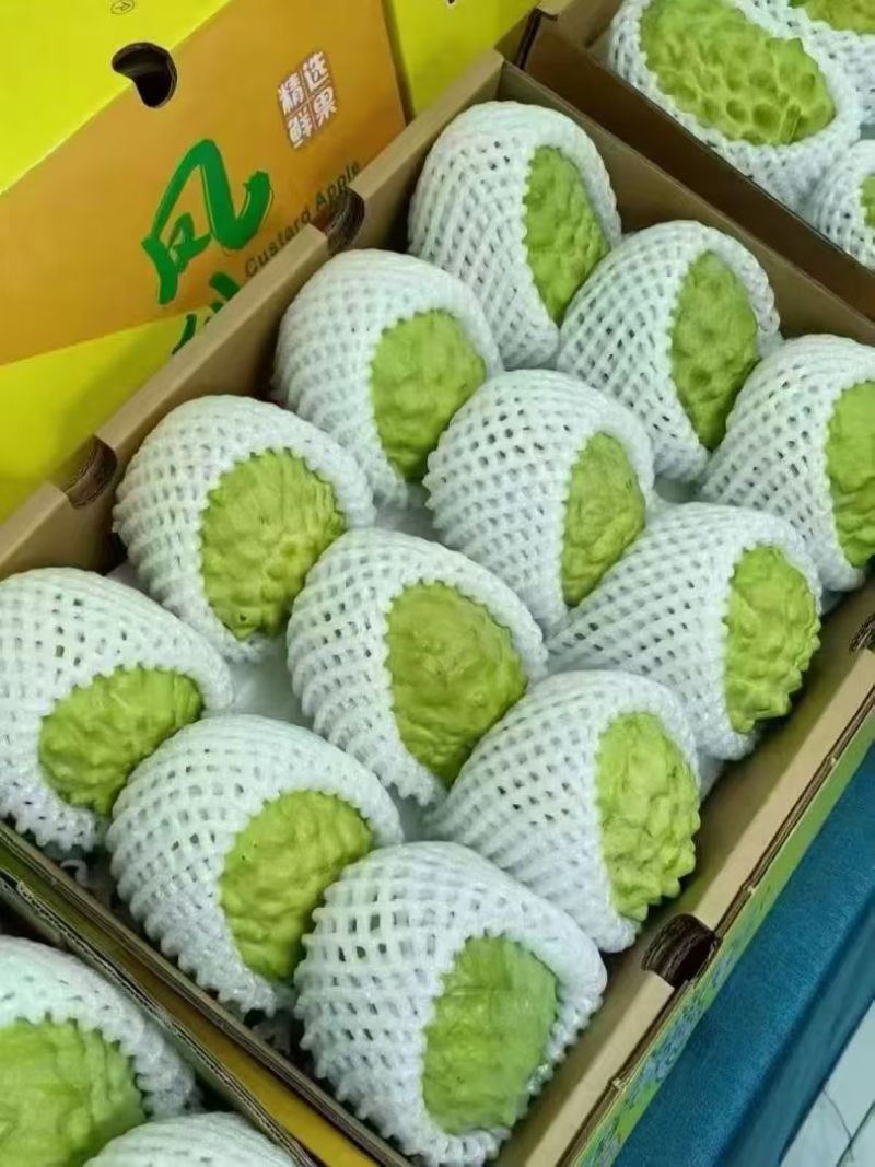 释咖果