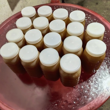 湖南土蜂蜜