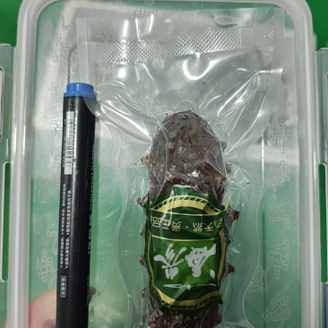 威海即食海参
