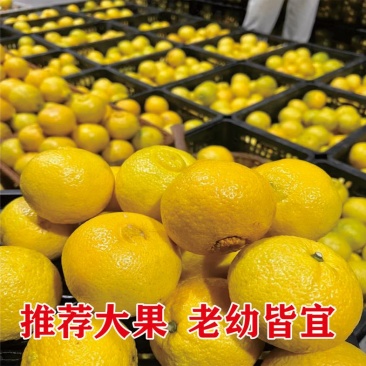 黄金贡柚精品果60-80小果中果大果