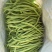 四季豆无筋豆精品泡沫箱手提袋