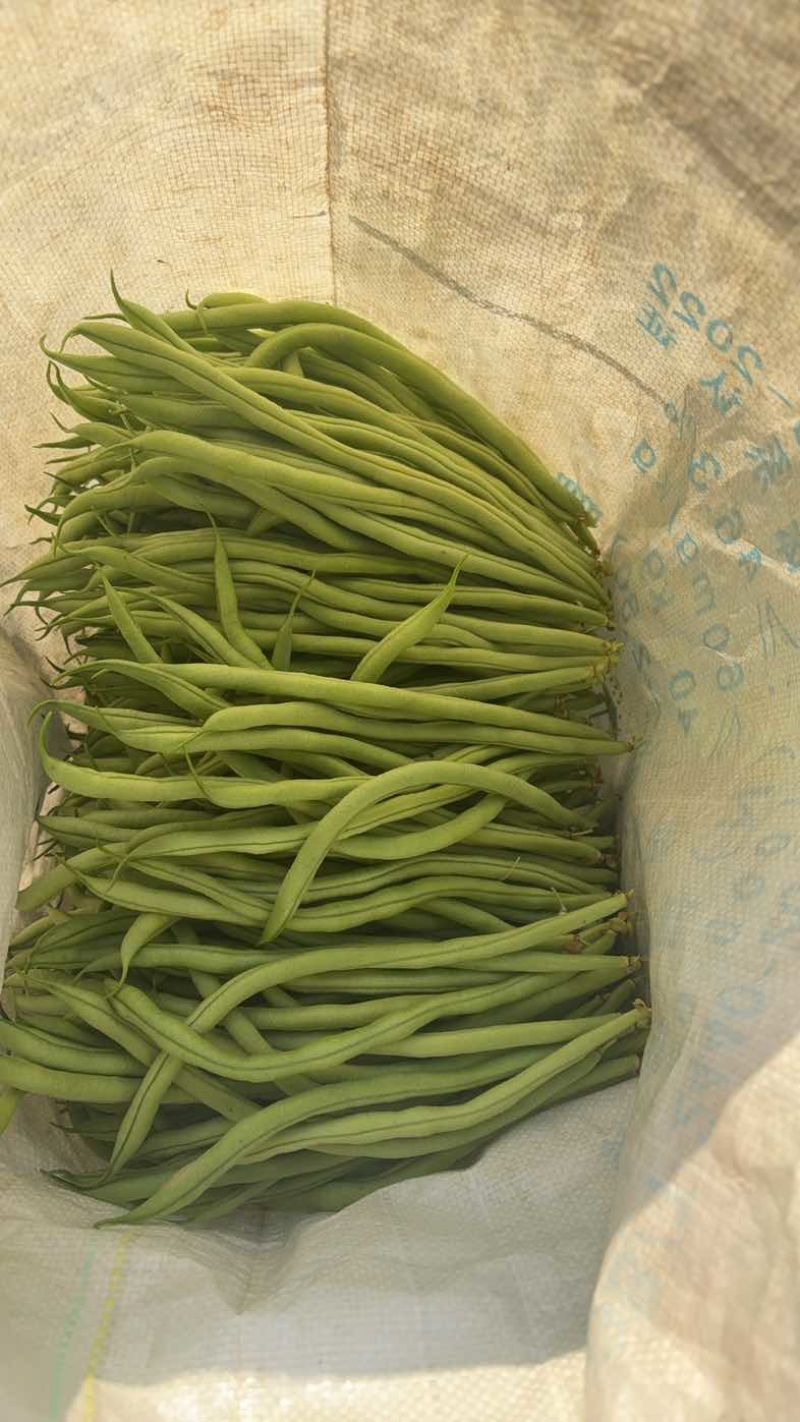 四季豆无筋豆精品泡沫箱手提袋