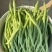 四季豆无筋豆精品泡沫箱手提袋