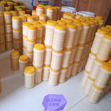 纯正鸭脚木冬蜜