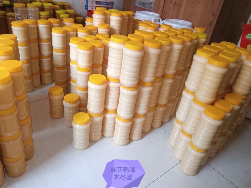 纯正鸭脚木冬蜜