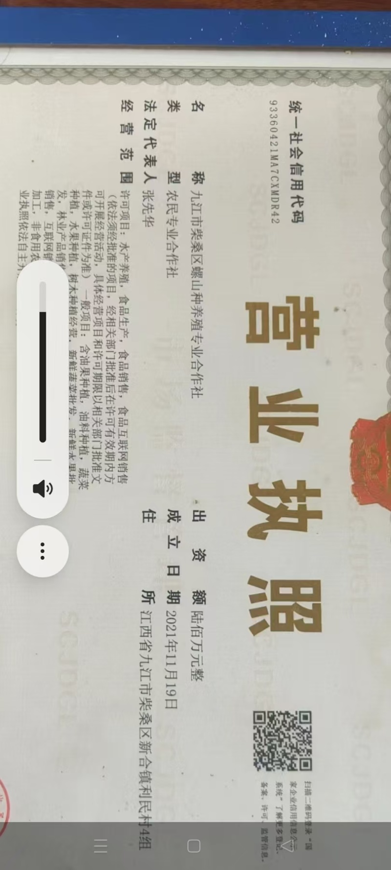野生山茶油