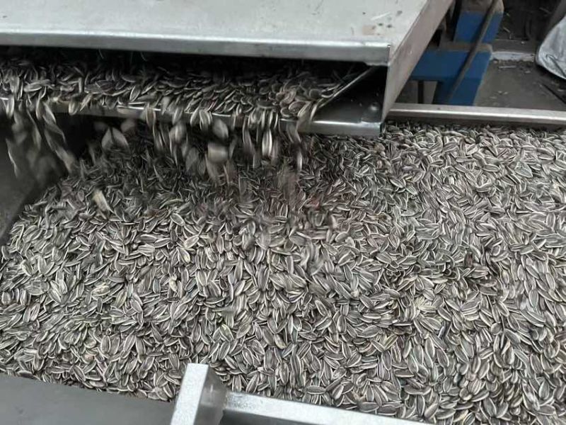 一件代内蒙瓜子，对接各大平台电商，售后服务全包品质好价格优