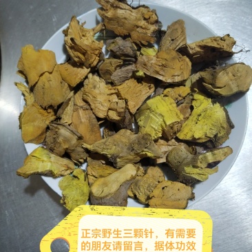 贵州野生三颗针，也称刺黄连