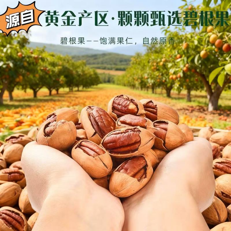 碧根果芽果16.5/斤，精品果21/斤