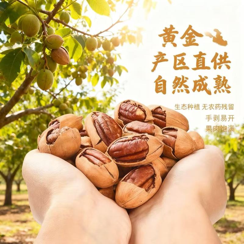 碧根果芽果16.5/斤，精品果21/斤
