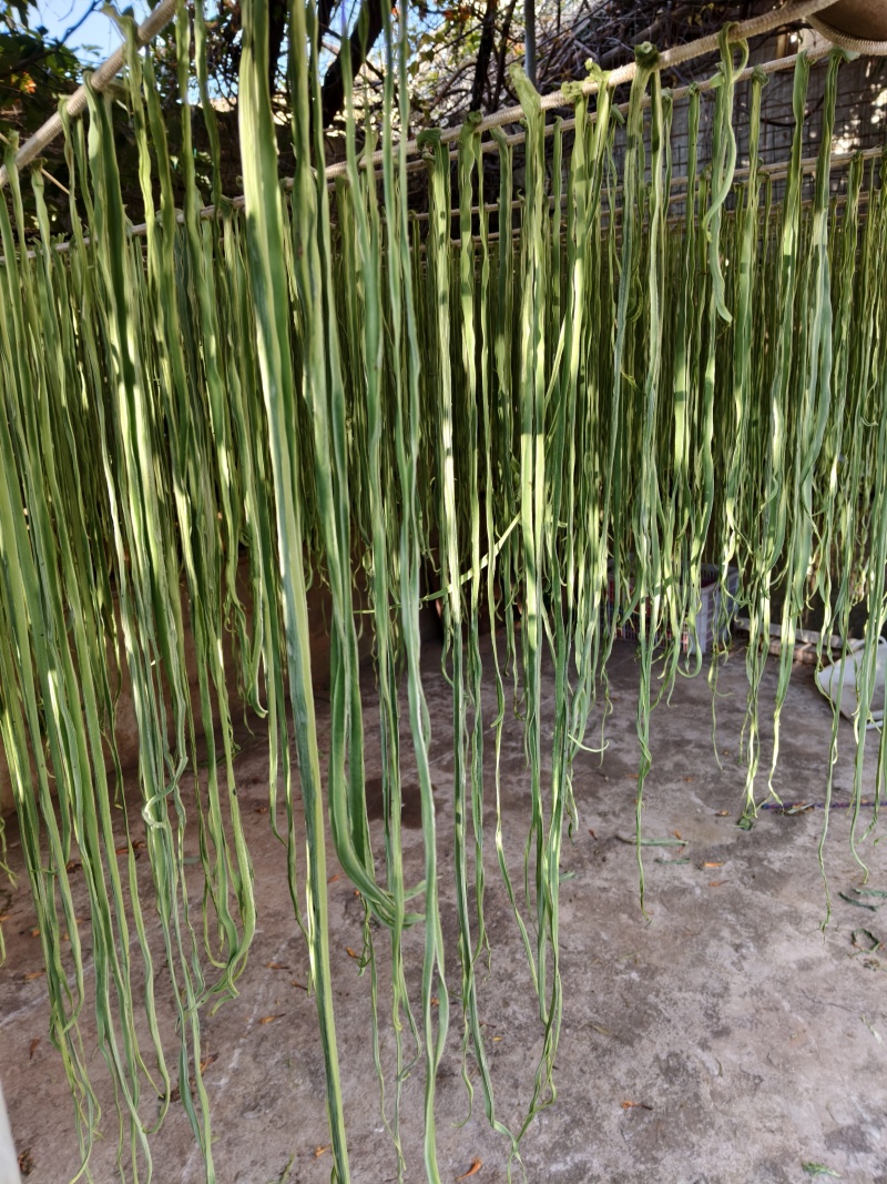 云南鹤庆贡菜干