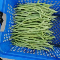 蔬菜