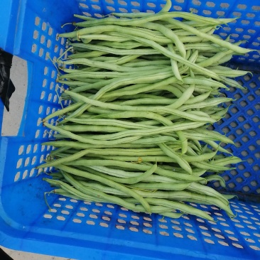 蔬菜