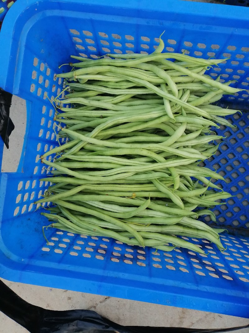 蔬菜