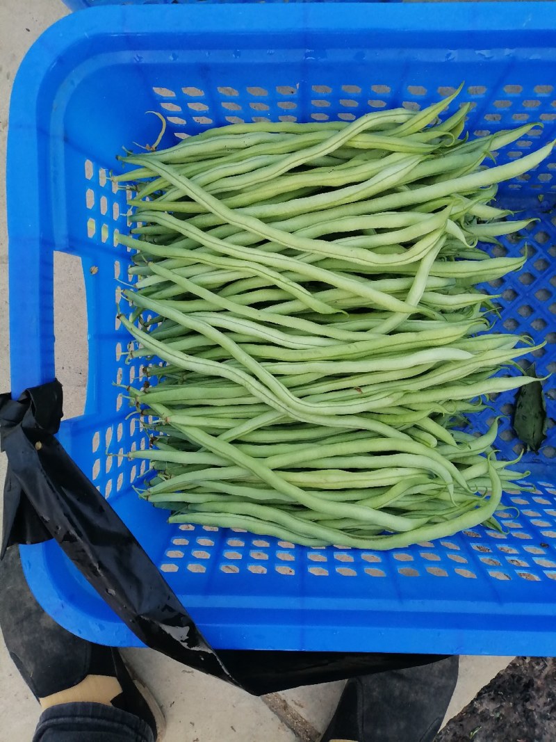 蔬菜