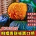 贝贝南瓜一件代发，批发