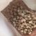 怀牛膝
