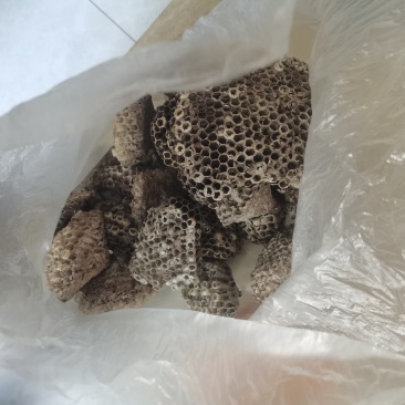 马蜂窝