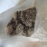 马蜂窝