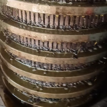山茶油