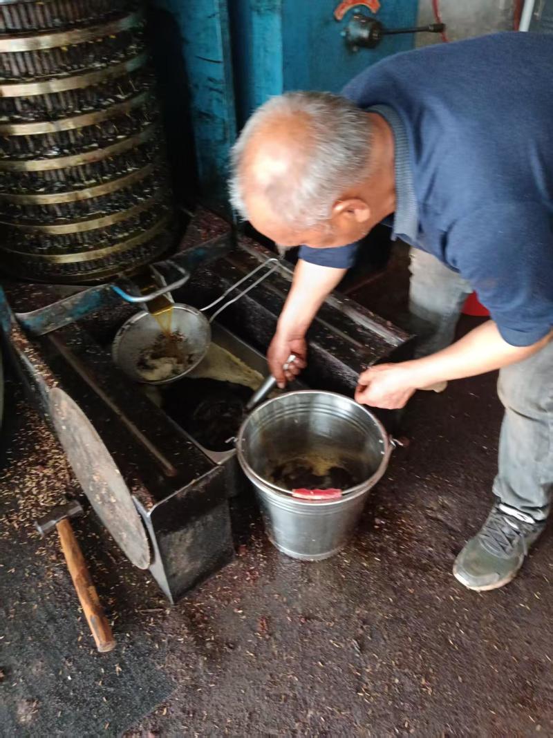 山茶油