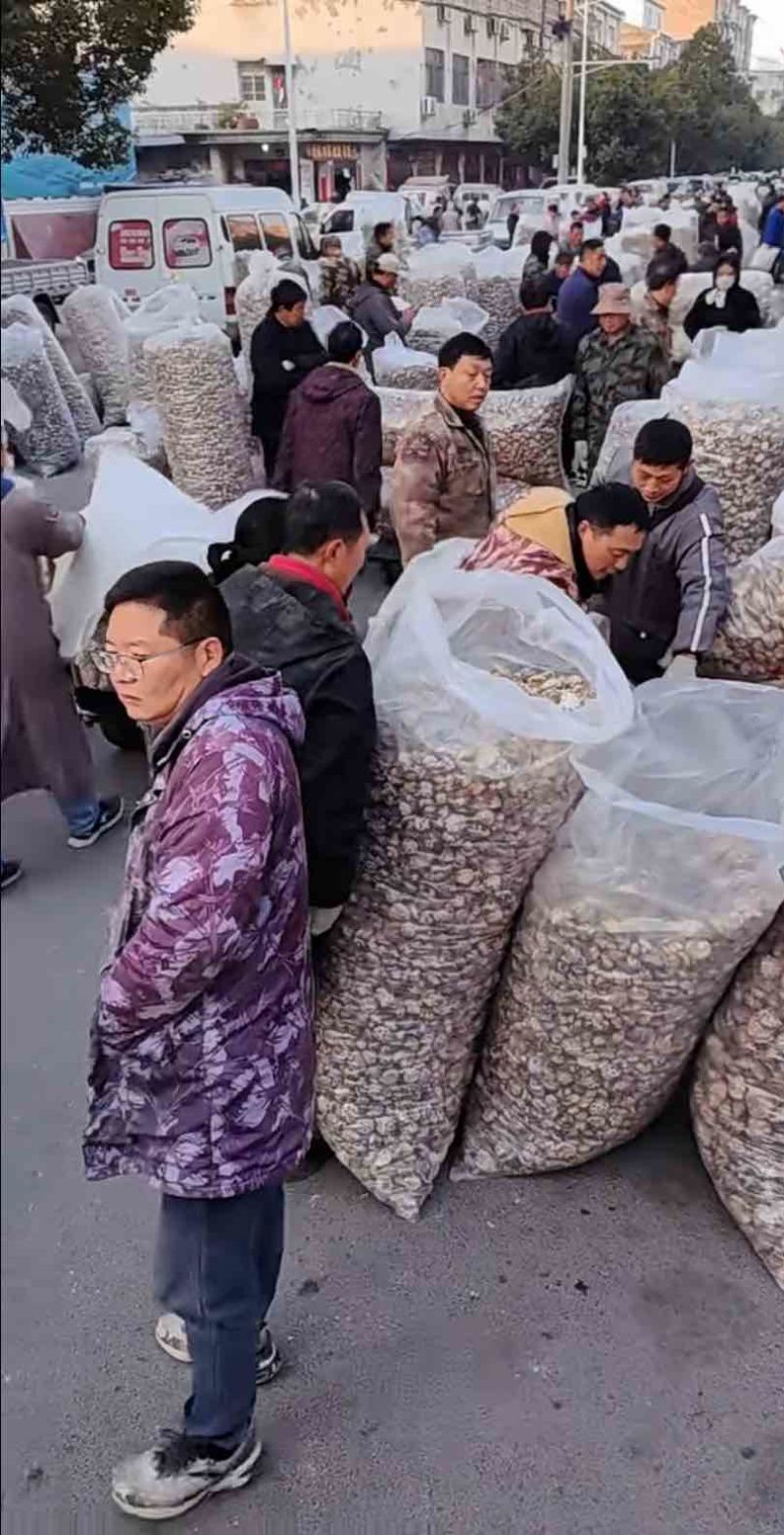 香菇