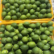 广东香水柠檬