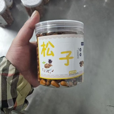 松子今年新货，香味十足，量大价优，支持电商一件代发
