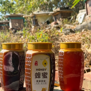 土蜂蜜，一年只割一次，百花蜜