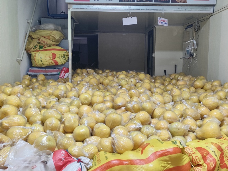 广西桂林市阳朔县兴坪沙田柚