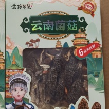 云南菌汤包