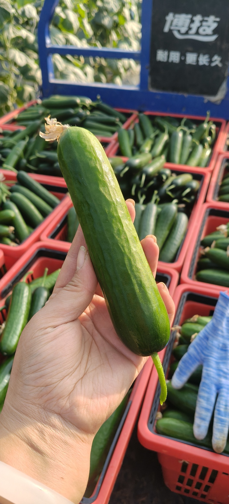 按件按斤都可以！货量足