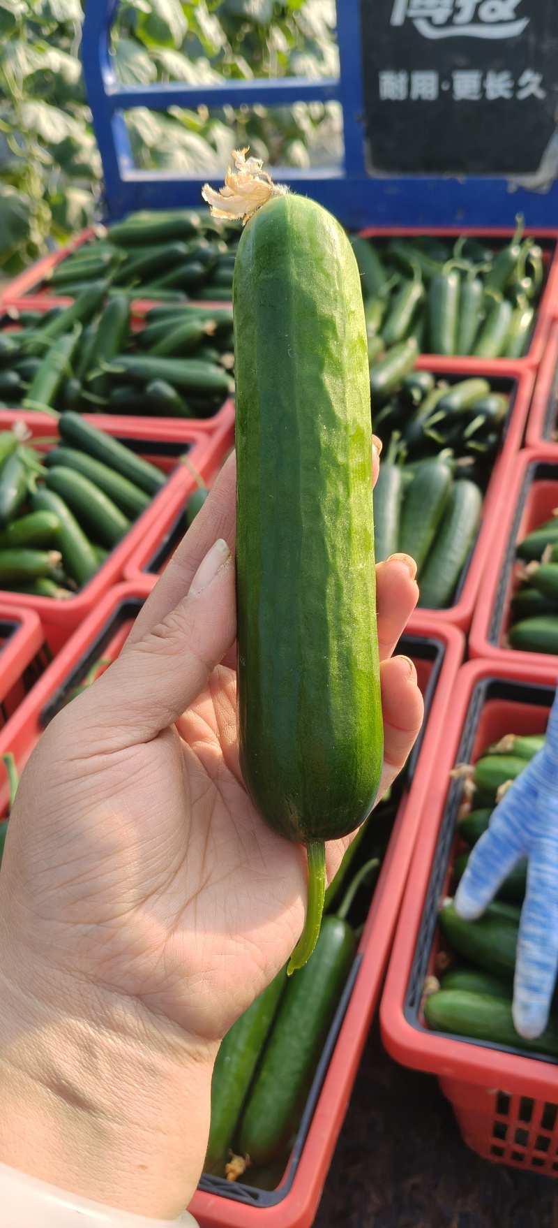按件按斤都可以！货量足